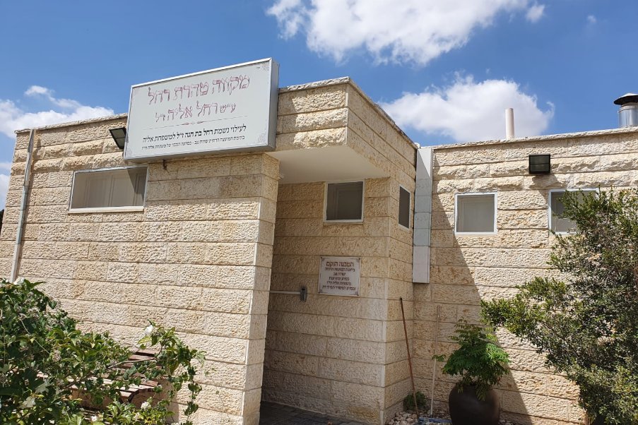 מעגלים - מונגש image